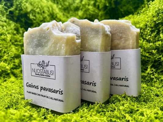 Gaivus pavasaris