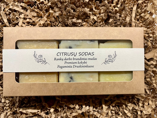 Rinkinys Citrusų Sodas