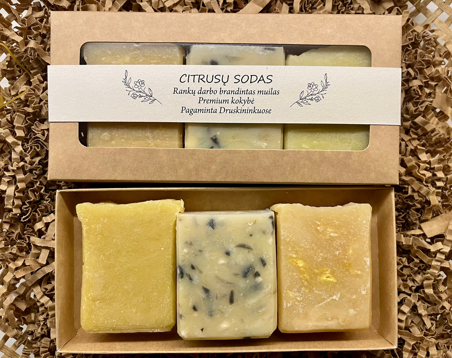 Rinkinys Citrusų Sodas