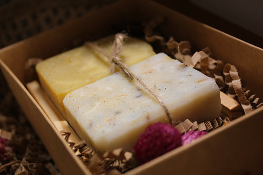 Citrusiniai muileliai 2vnt + muilinė/ padėkliukas